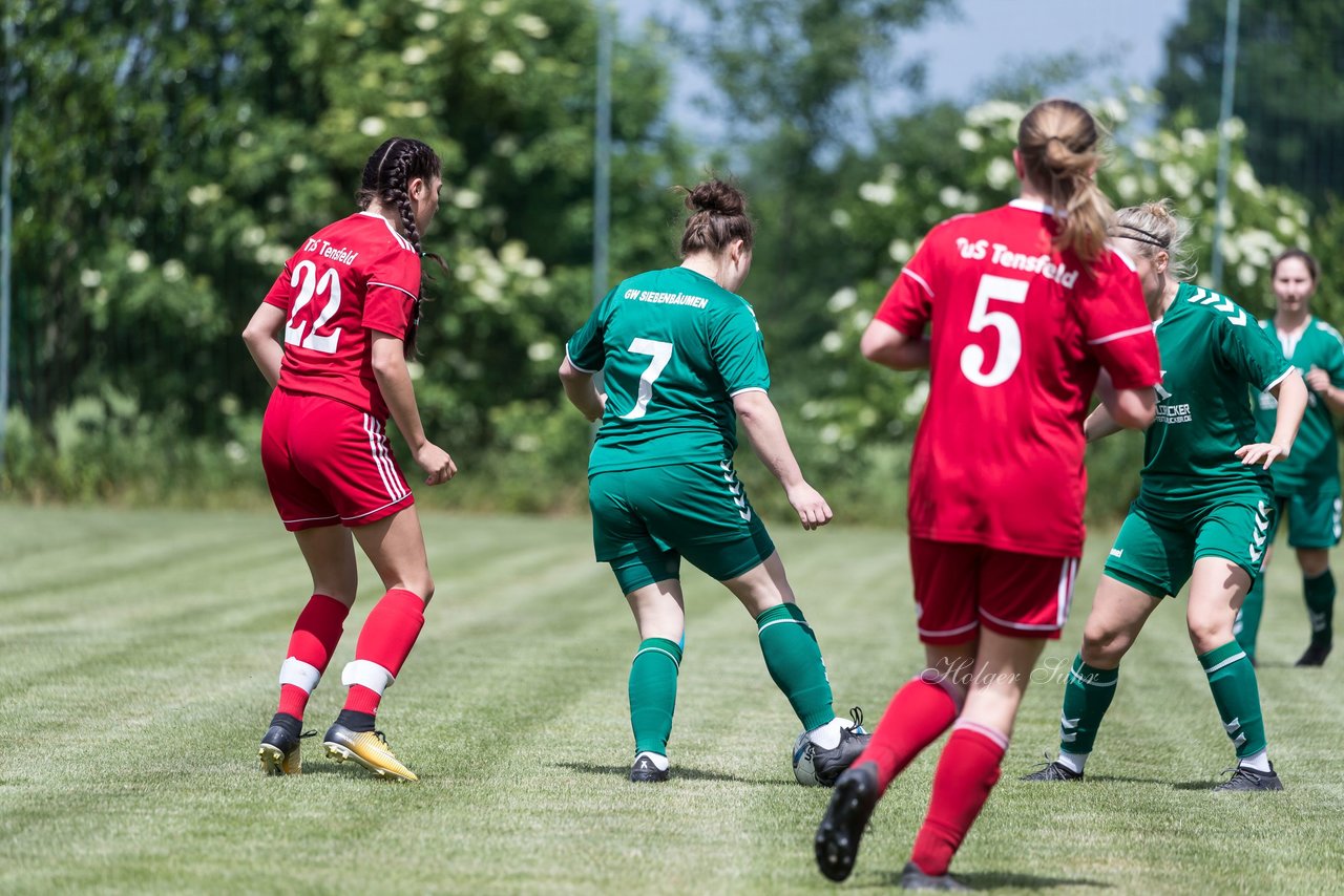 Bild 52 - SV GW Siebenbaeumen - TuS Tensfeld : Ergebnis: 2:2